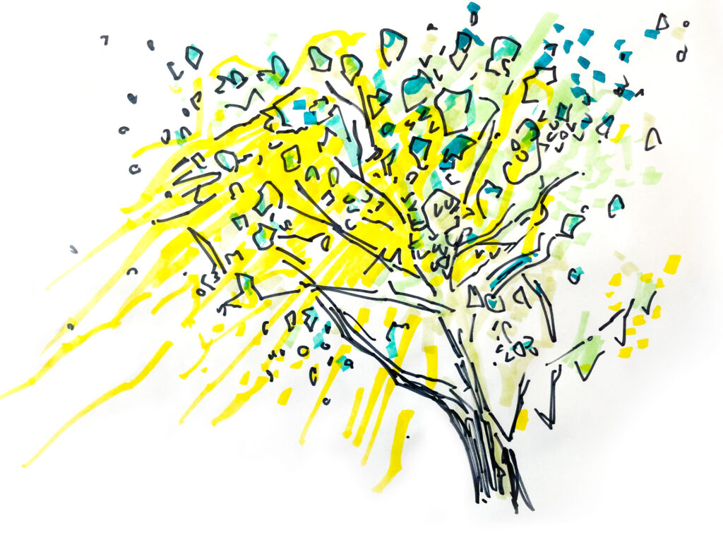 drawing of tree